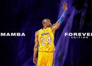 开云体育登录-年度焦点之战，北京队力克火箭，点燃篮球之夜