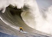 开云体育入口-绿茵场上的法兰西之舞，乒乓球台边的亚洲闪电—体育世界的多元突破