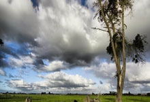 开云体育下载-活塞启示录，当克莱的全程高能照亮辽宁队的东方智慧